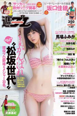 美景之屋2在线观看